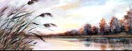 Tisza II.